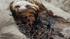 Ahli Arkeologi Temui Lebih 200 Rangka Kanak-Kanak Di Pantai Peru, Dakwa