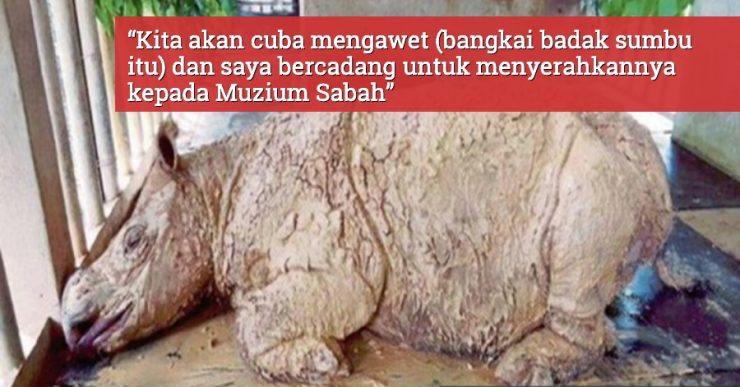 JHL Sabah Berhasrat Awet Bangkai Badak Sumbu Iman