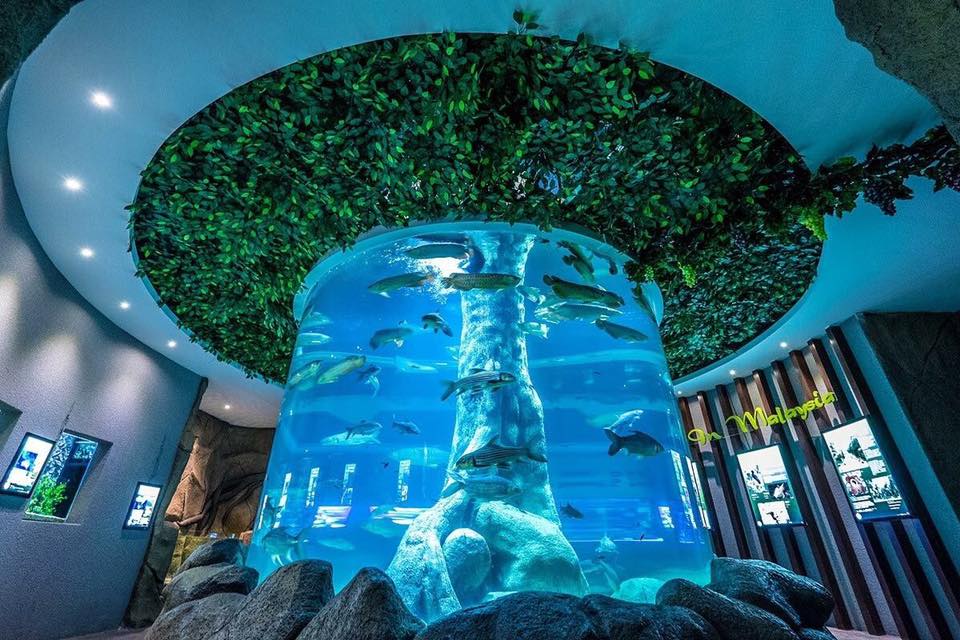 akuarium ikan