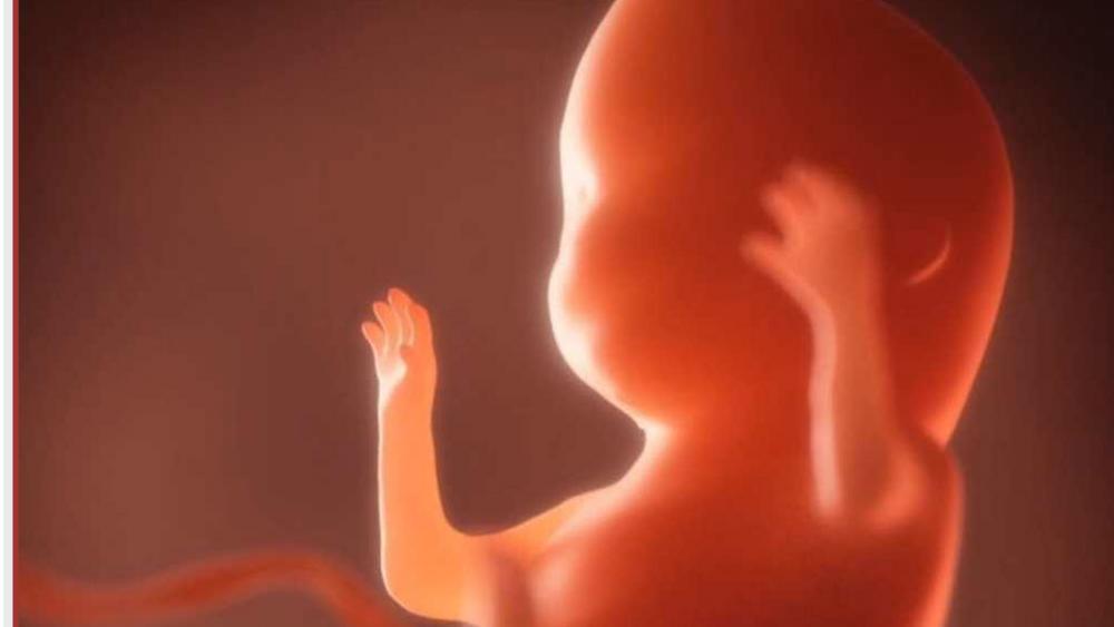 bayi dalam kandungan