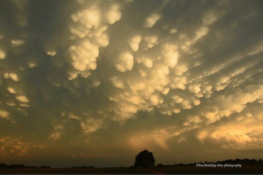 awan mamatus Iowa