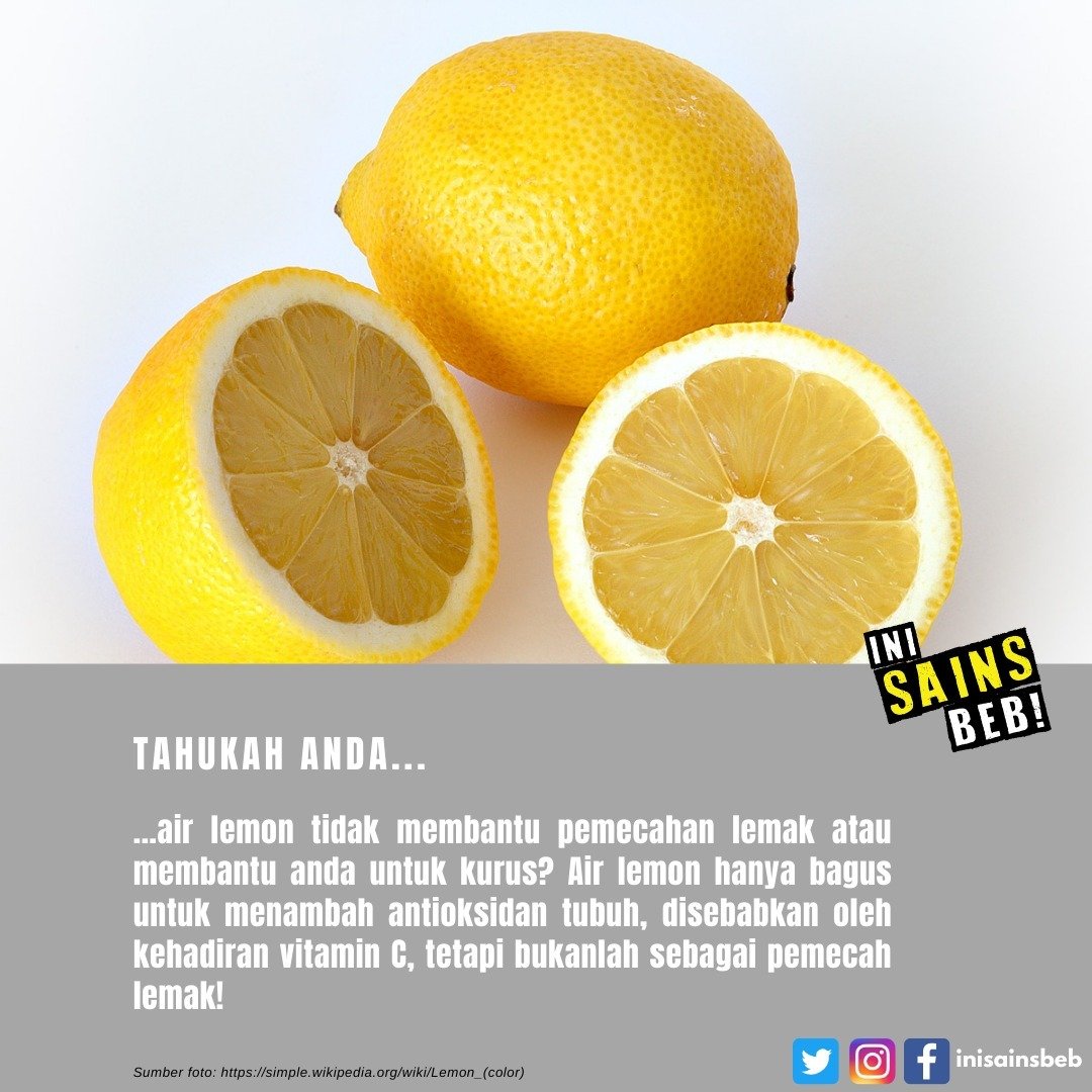 Bagus Untuk Kesihatan Tapi Ramai Salah Sangka Air Lemon Boleh Pecahkan Lemak Ini Fakta Anda Perlu Tahu