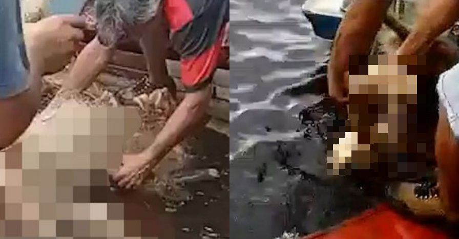 pemain bola sepak diratah pirana