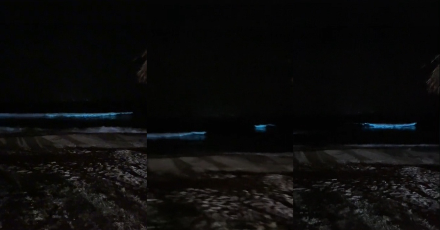 ombak biru di terengganu