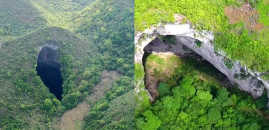 Hutan dalam lubang sedalam 630 kaki