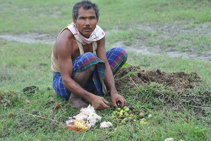 jadav payeng