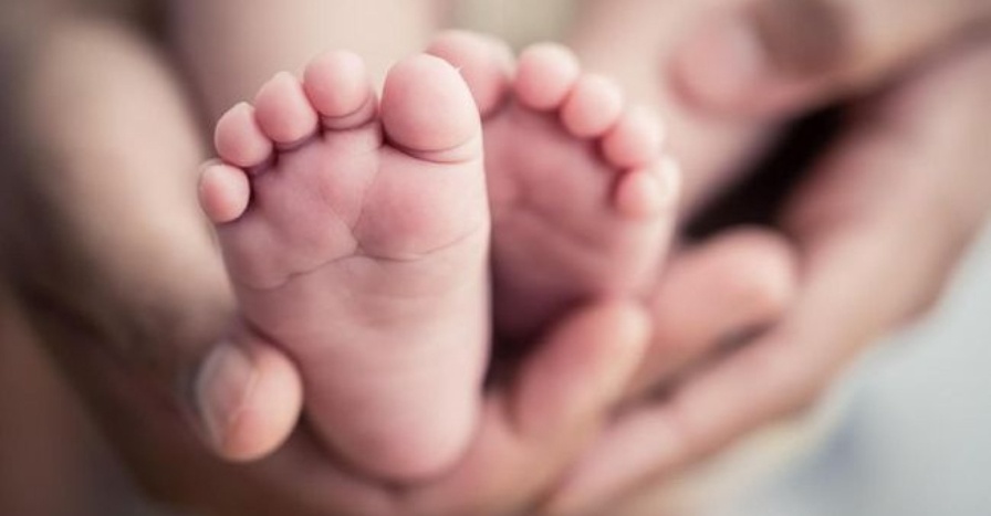 mayat bayi dalam bekas makanan