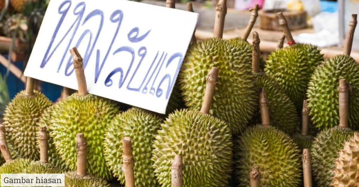 thailand pinjaman bank durian