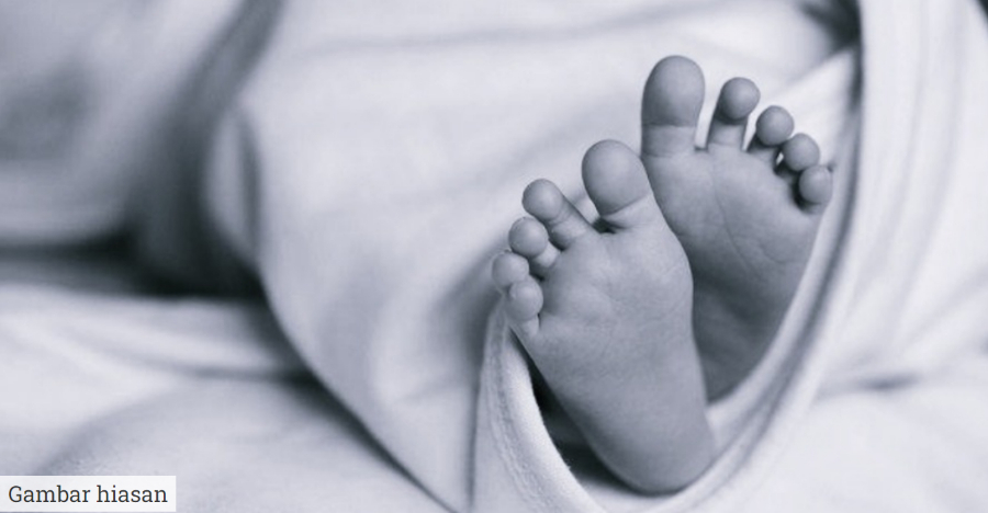 bayi 12 bulan