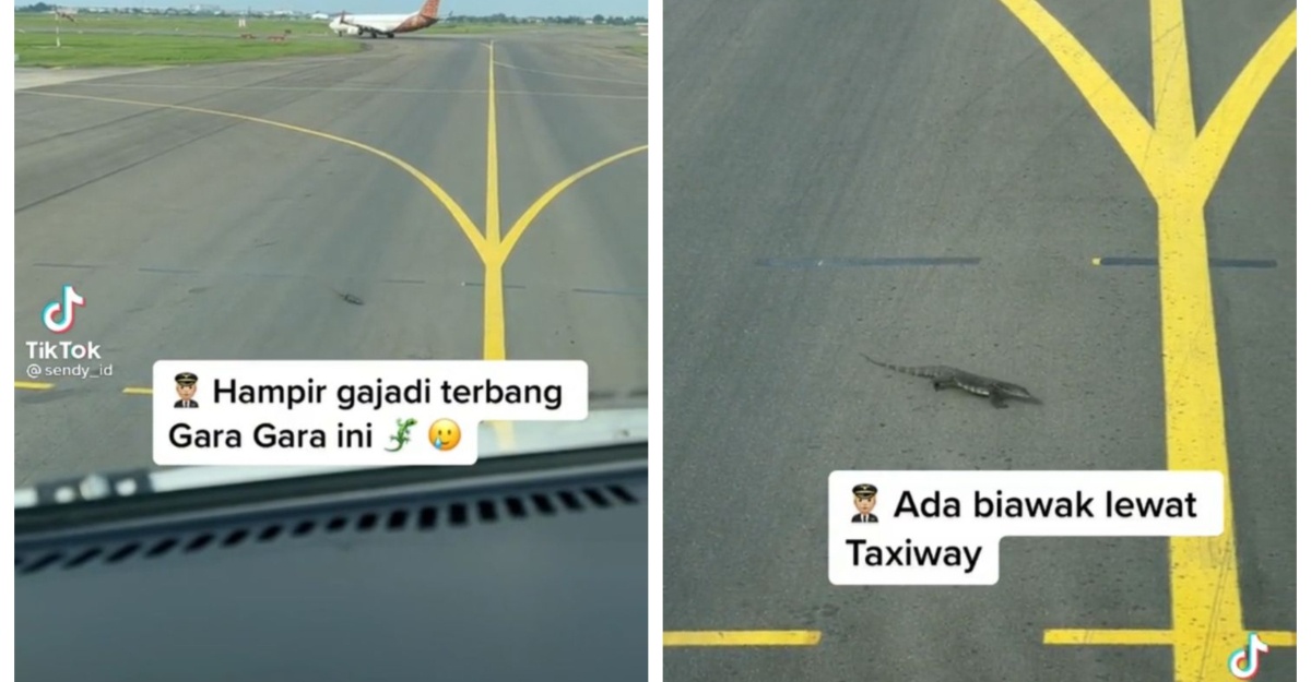 terpaksa tunda jadual penerbangan