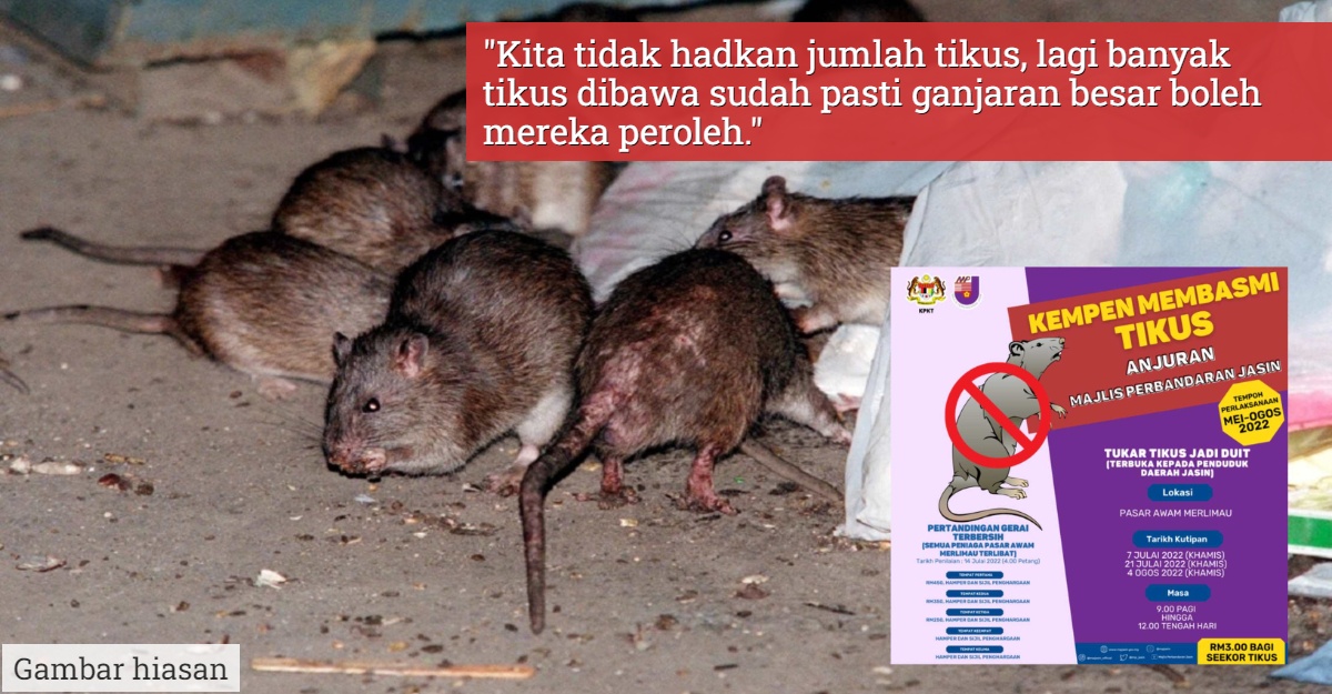 tangkap tikus dapat rm3