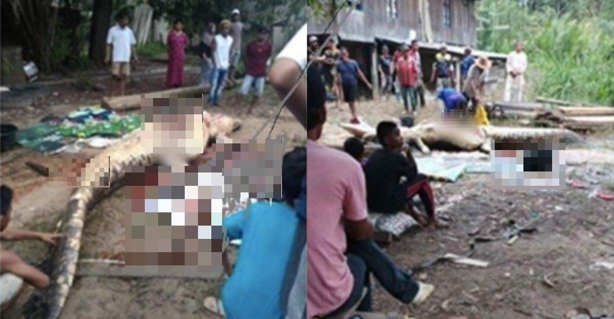 ditemukan maut dalam perut buaya