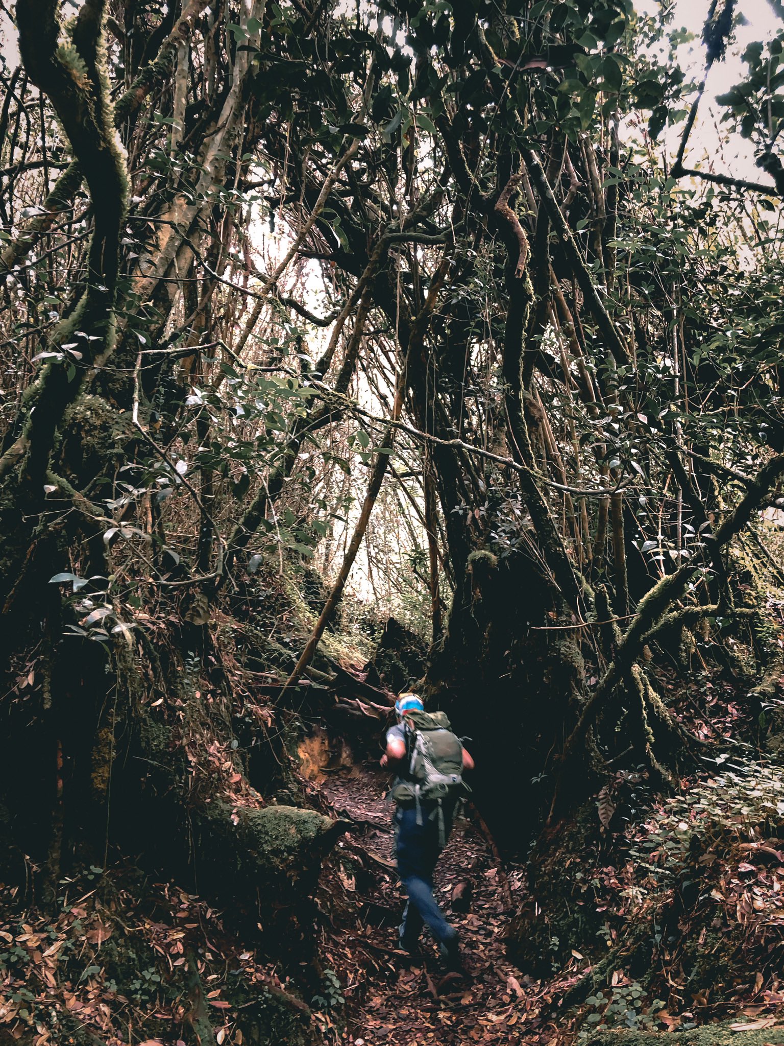 26 lokasi "hiking" yang sesuai untuk "beginners"
