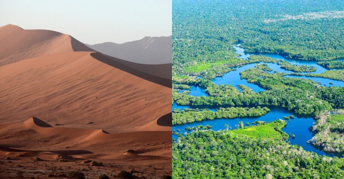 sahara amazon