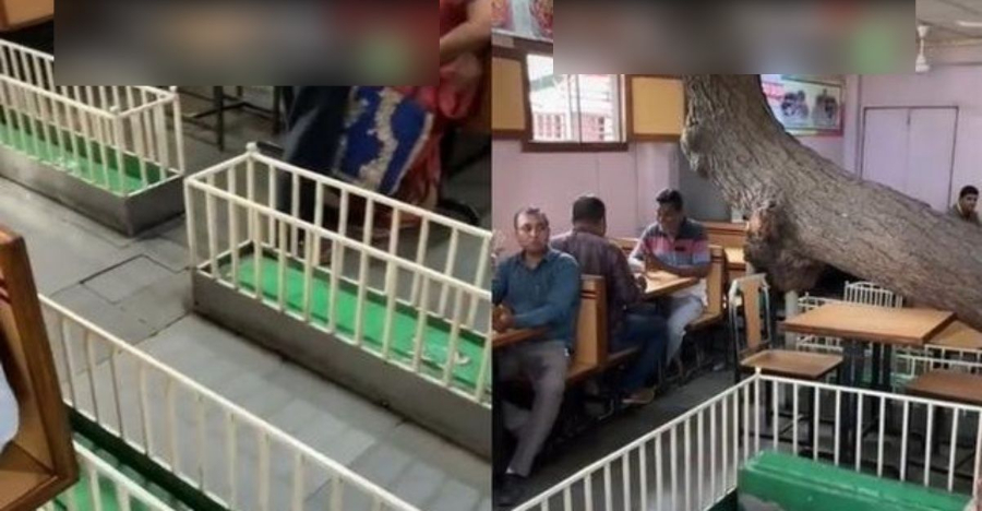 Kafe Atas Tanah Kubur