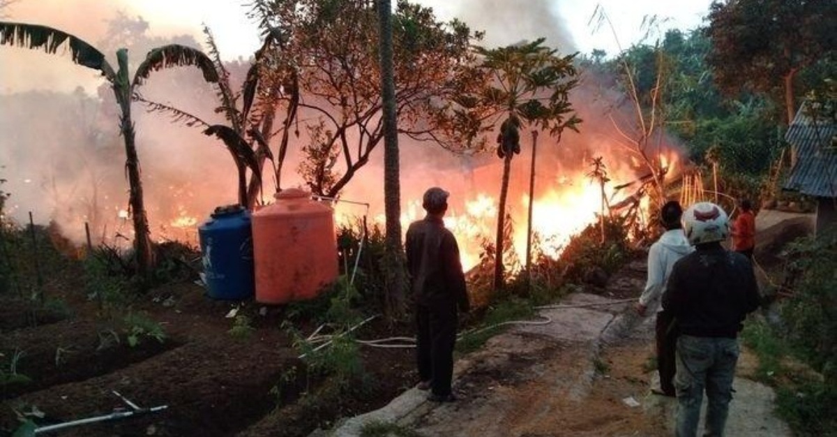 reban ayam terbakar
