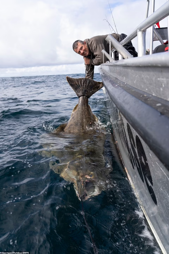 tangkap halibut berusia 90 tahun
