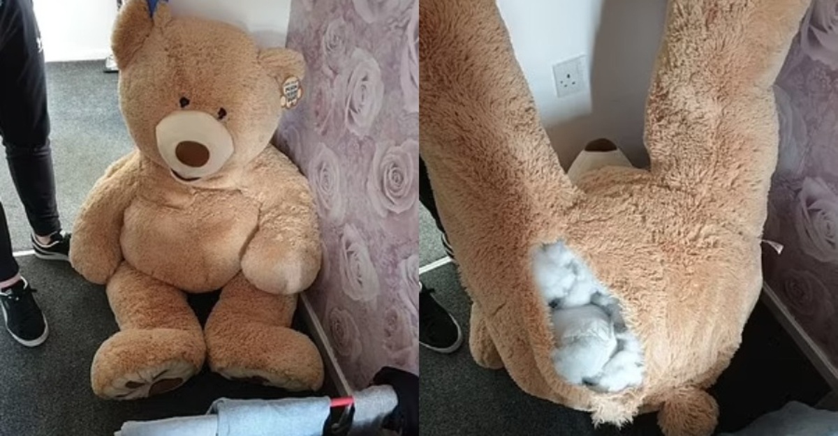 Remaja Nekad Menyorok Dalam 'Teddy Bear'