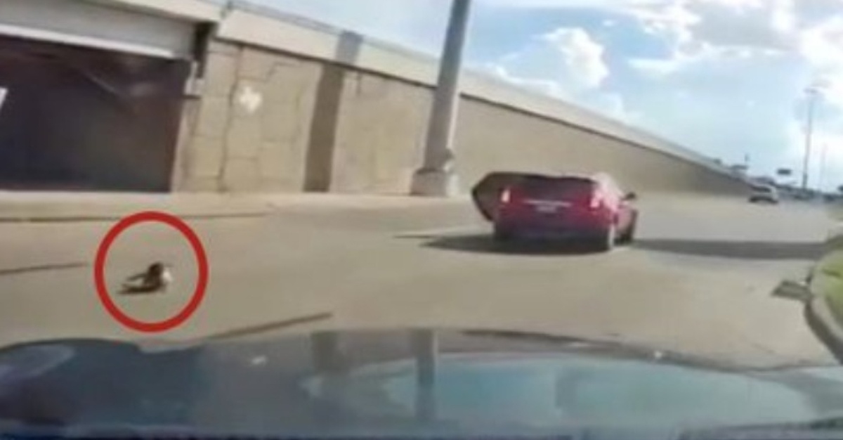 Bayi 'Terhumban' Keluar Dari Kereta
