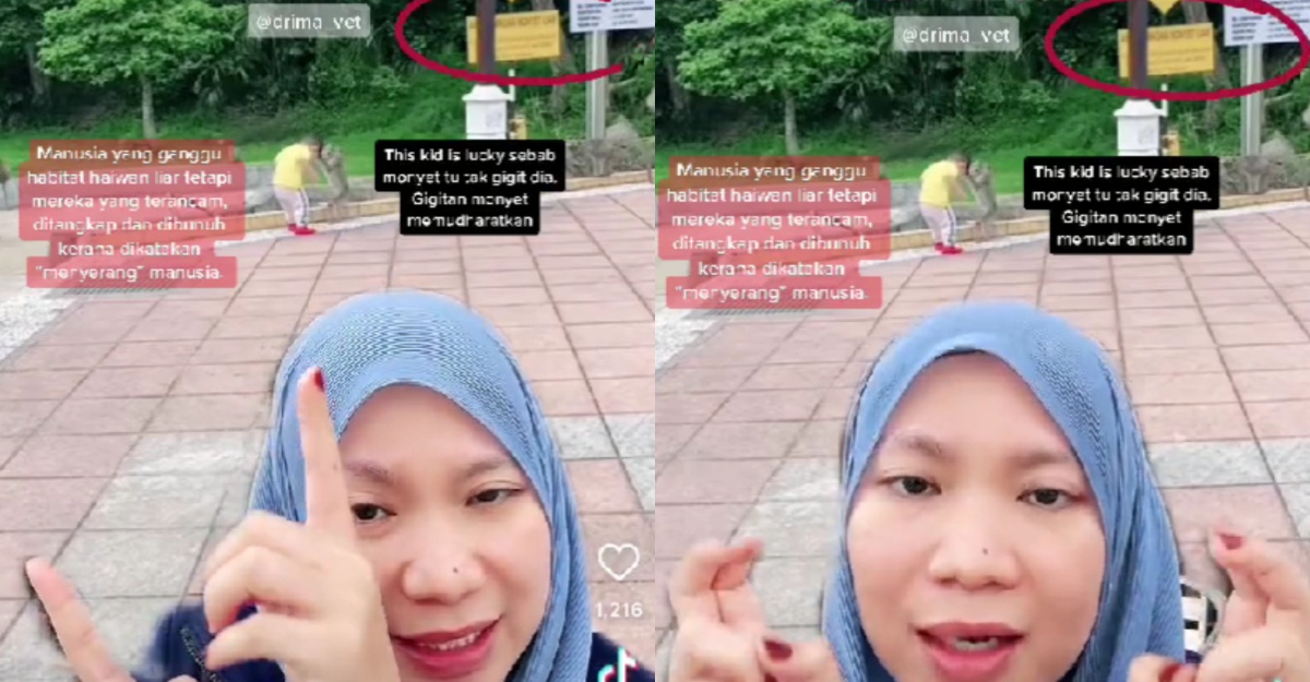 kepala budak dikokak monyet
