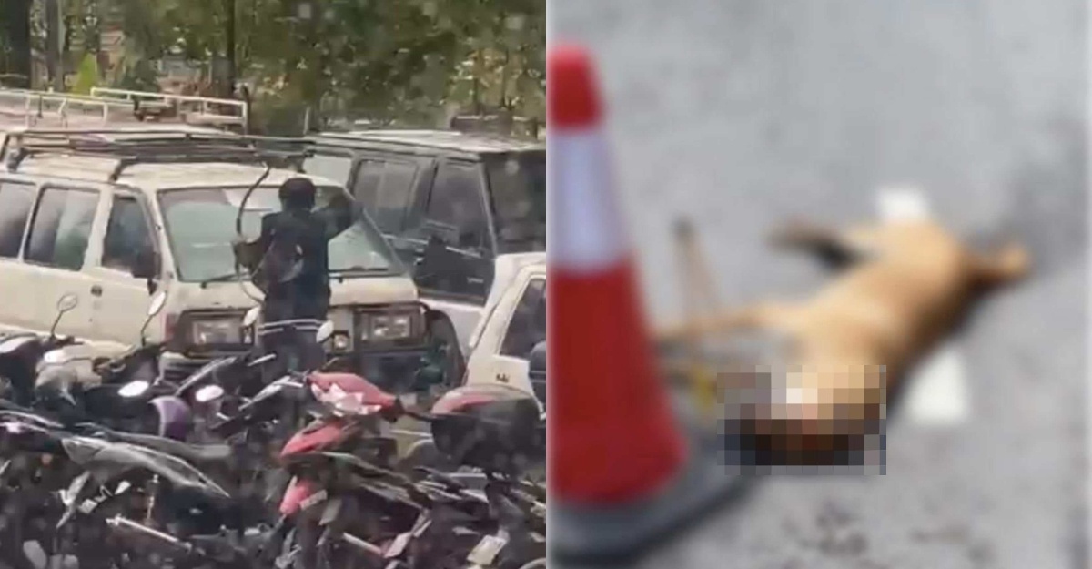Tular Panah Anjing Hingga Mati Lelaki Diburu Polis