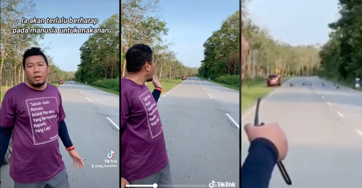 jangan bagi makanan haiwan liar