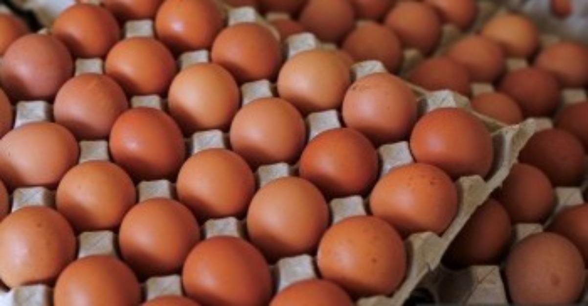 Kerajaan Sambung Pelaksanaan Penentuan Harga Maksimum Ayam