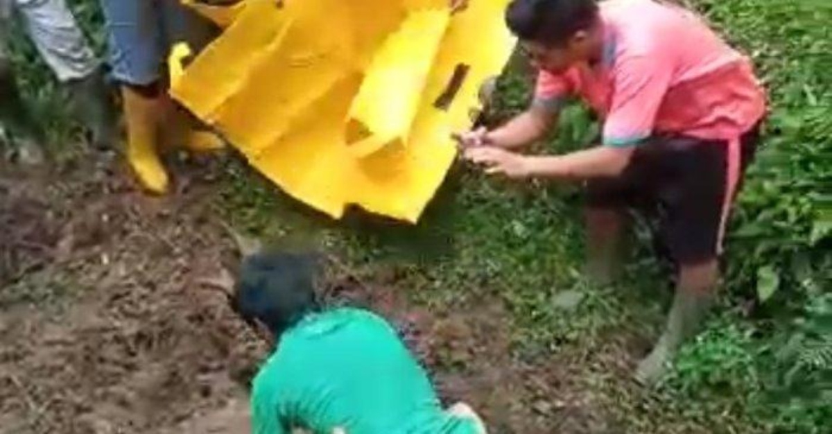 lelaki tuduh curi durian maut dipukul