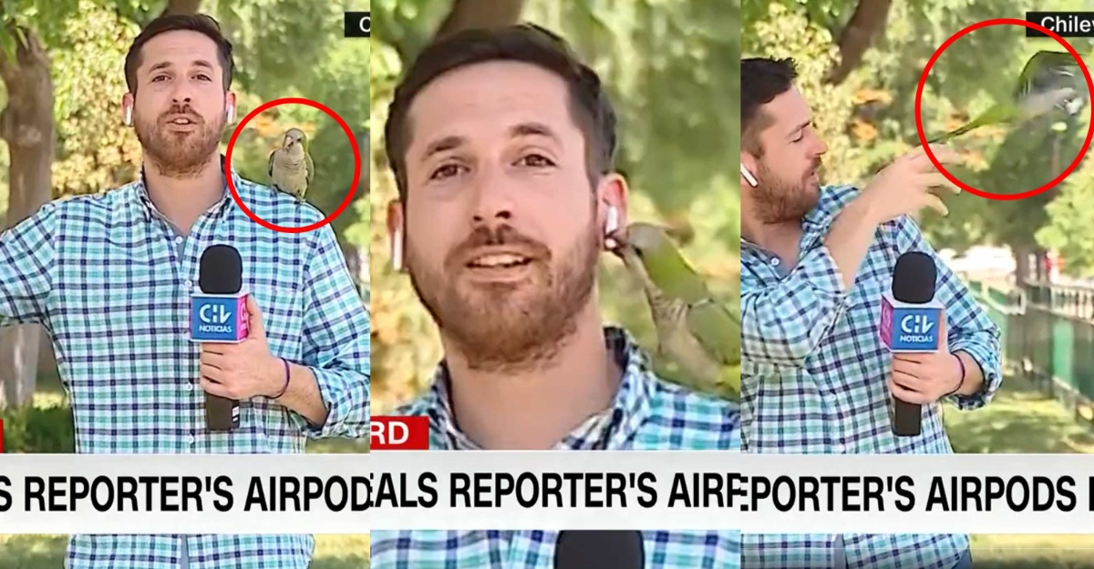 AirPod Wartawan Dirompak