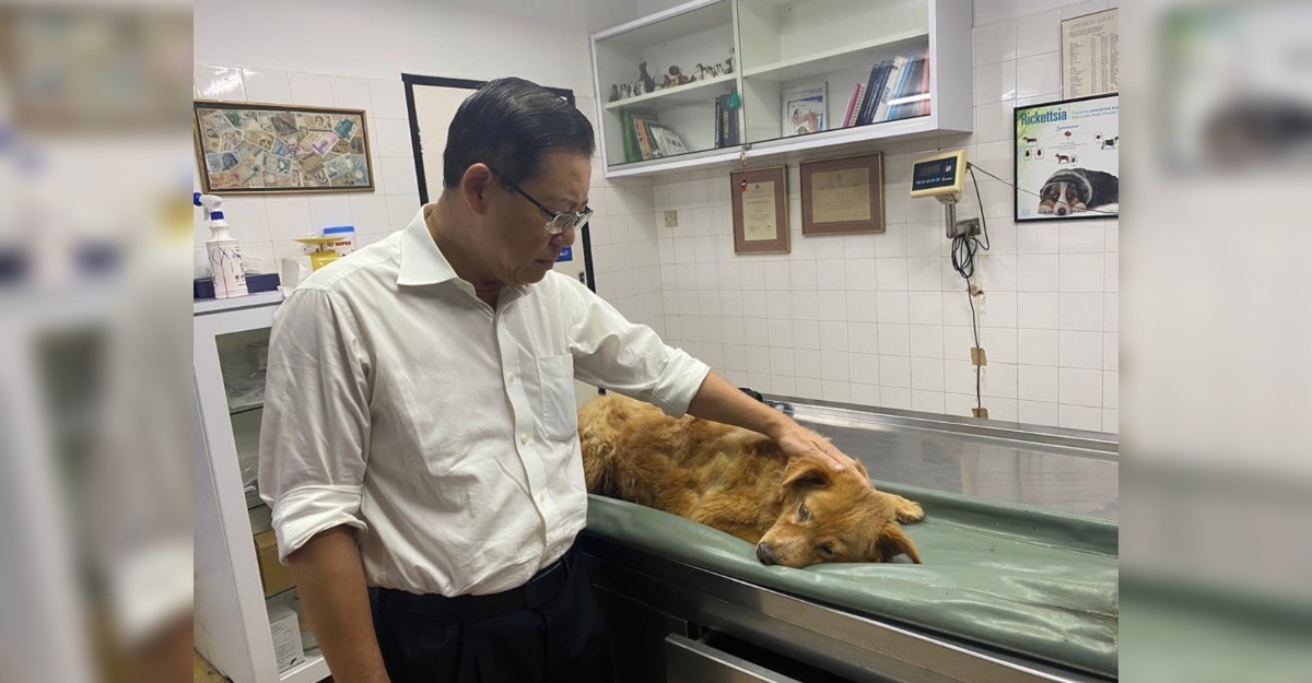 anjing lim guan eng mati