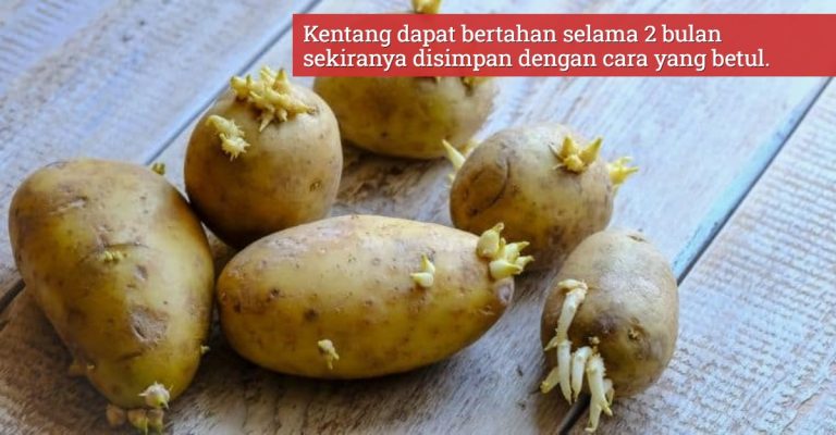 Baru Beli Tapi Sudah Bertunas? Ini Petua Simpan Kentang Tahan Lama