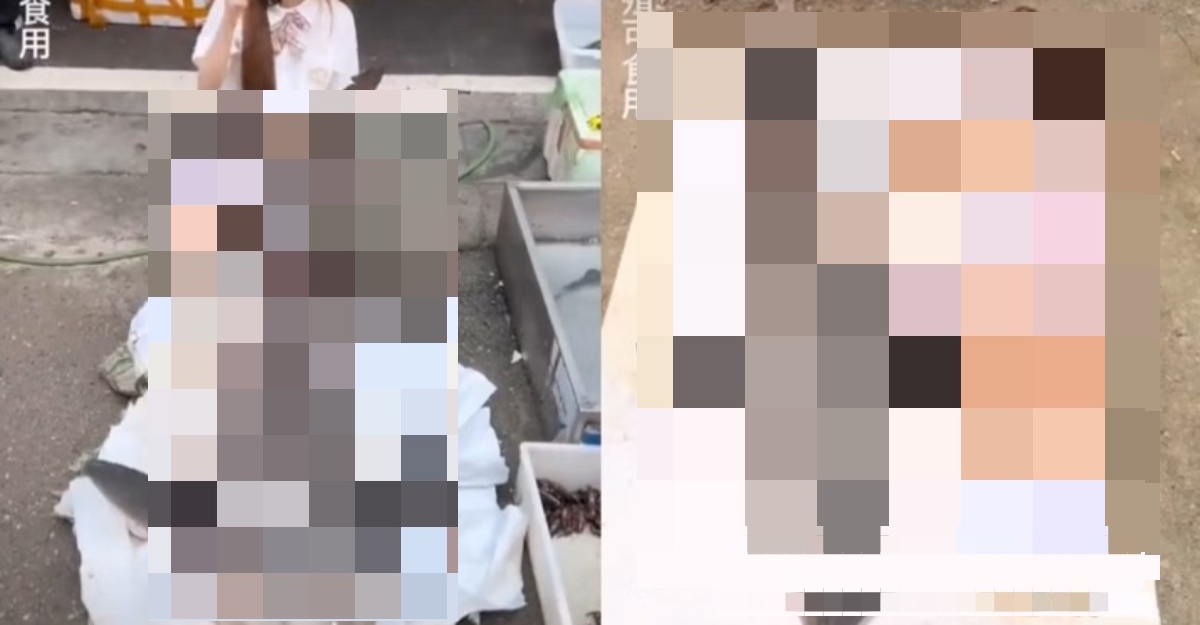 influencer didenda makan jerung putih
