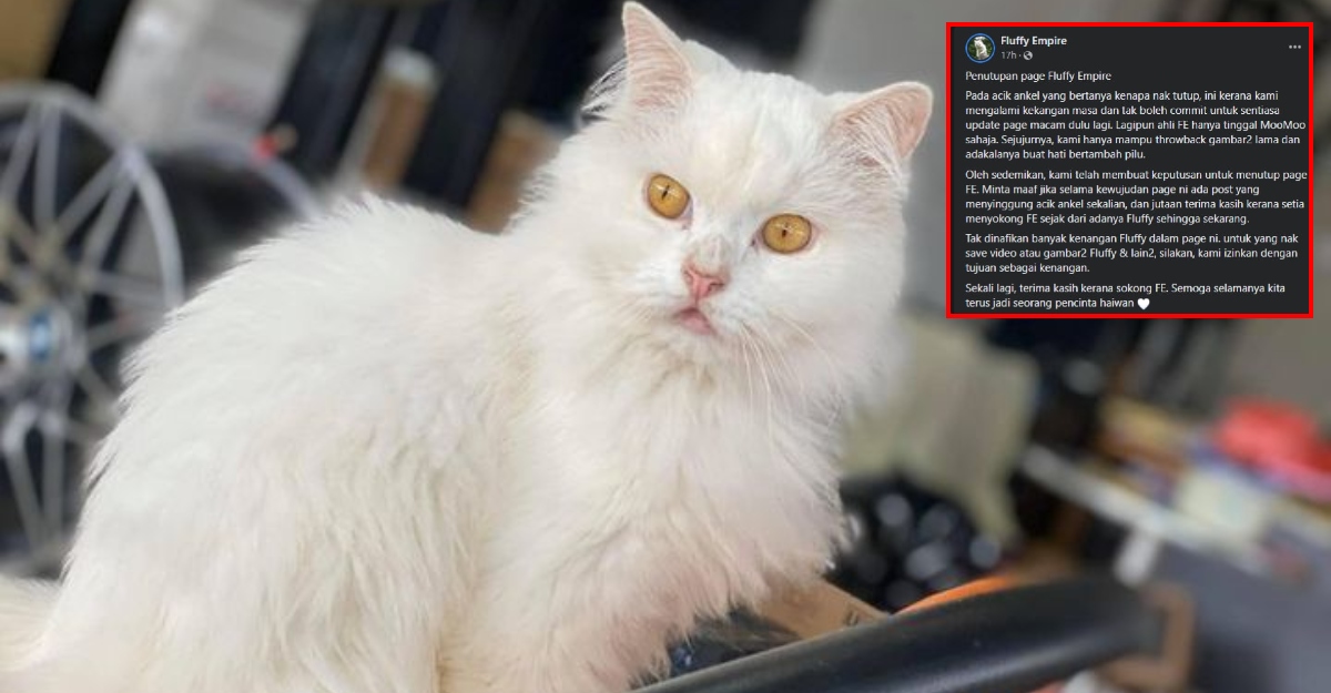 Page Rasmi Fluffy Empire Akan Ditutup