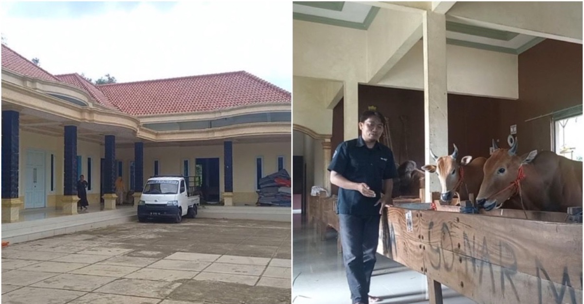 rumah mewah kandang lembu