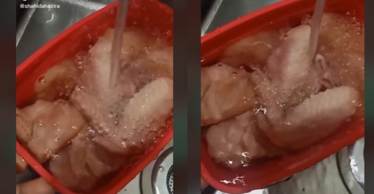 cara defrost ayam