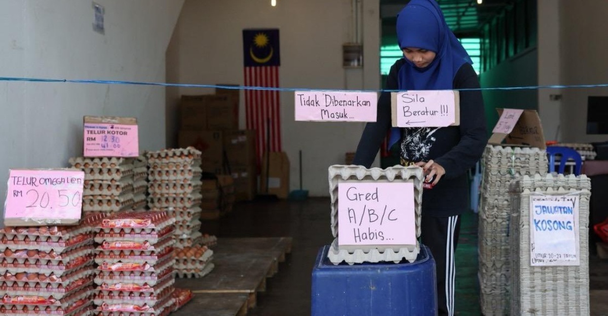 subsidi telur dan ayam jun