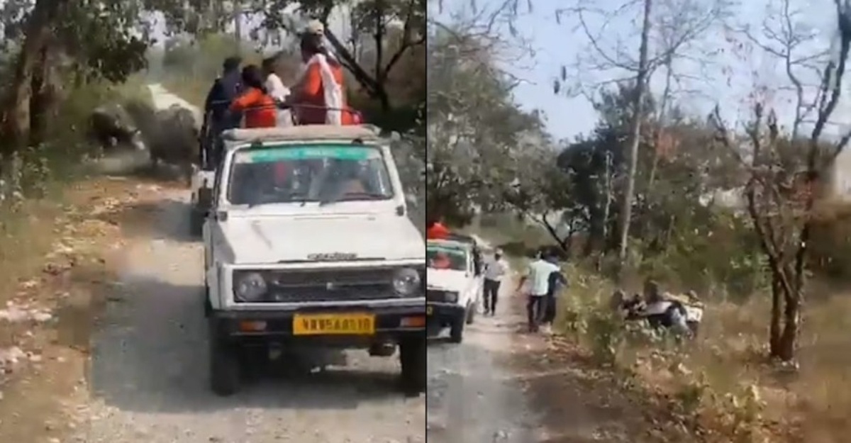 kereta terbalik dikejar badak