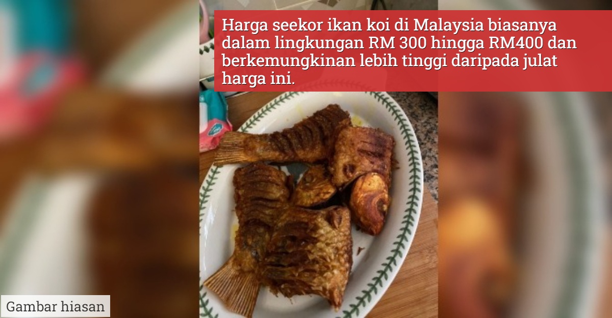 Ikan koi mati goreng