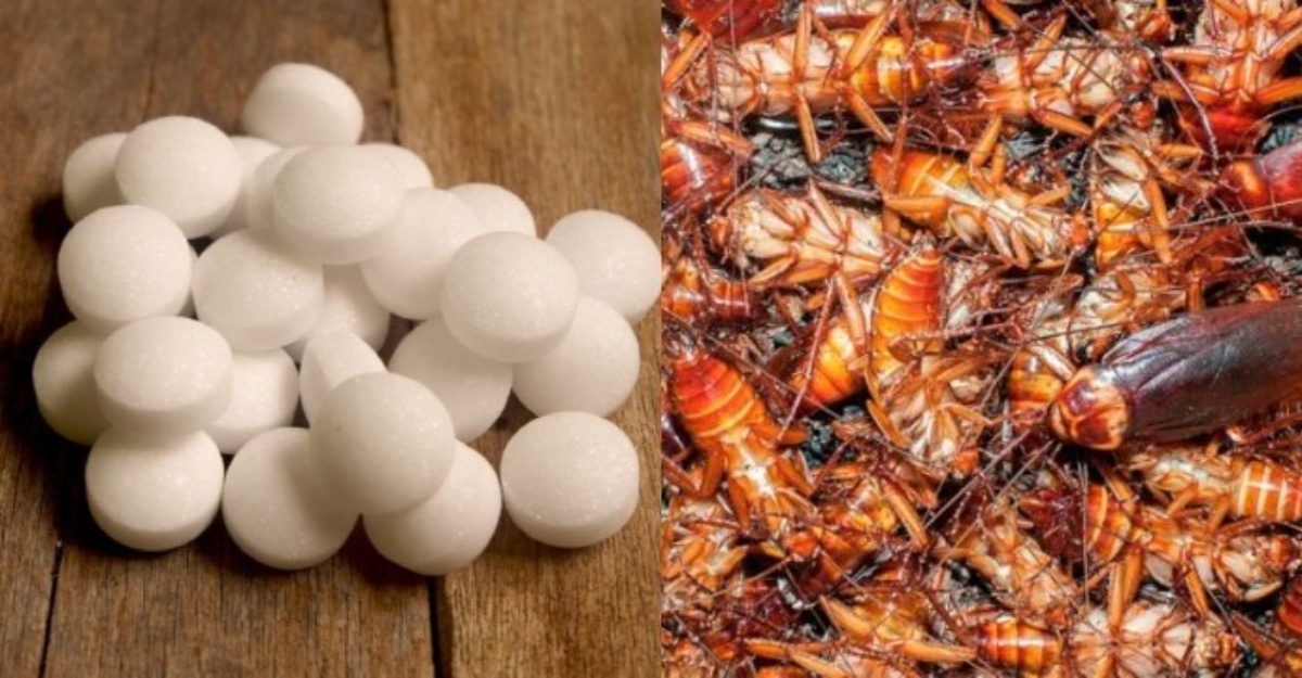 mitos ubat gegat lipas