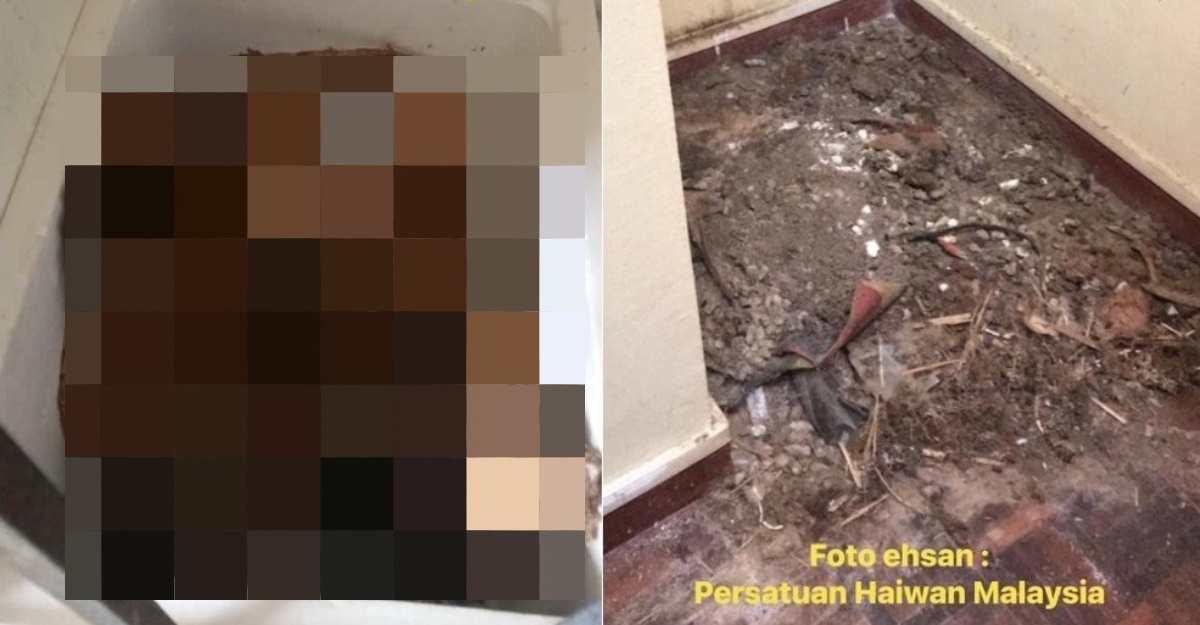 polis cari suspek puluhan bangkai kucing