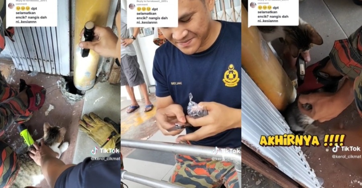kucing dalam lubang