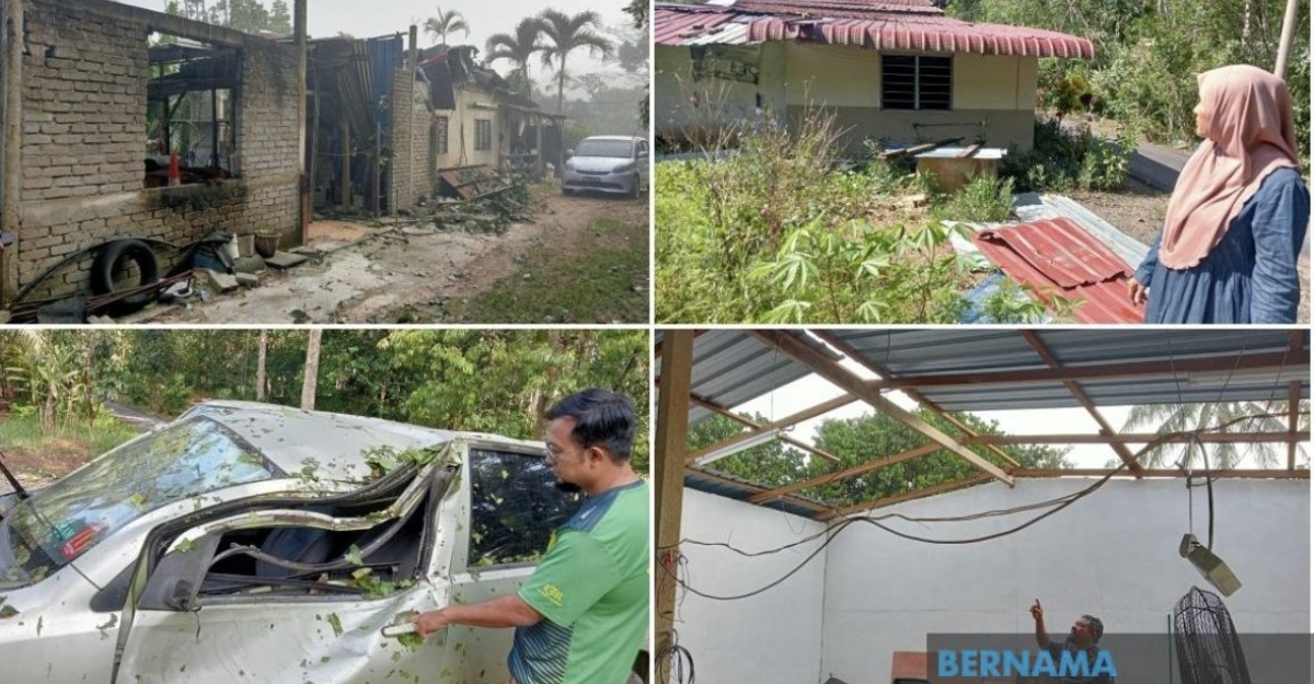 Lelaki rumah dihempap pokok