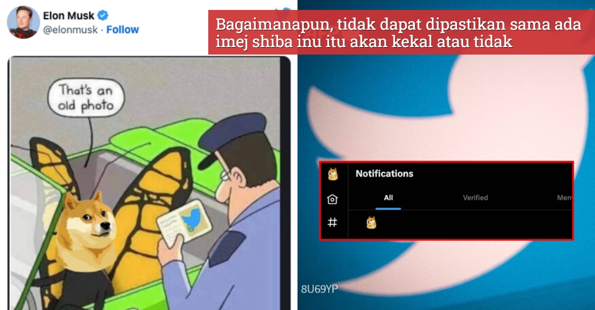 nilai dogecoin melonjak