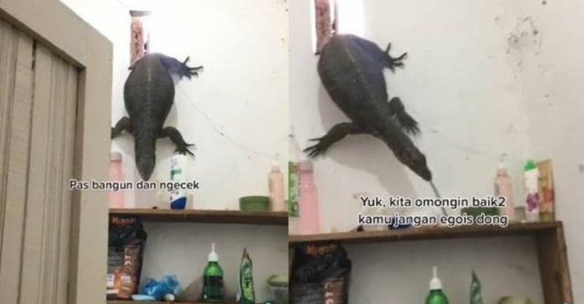 gorgon pecah masuk rumah