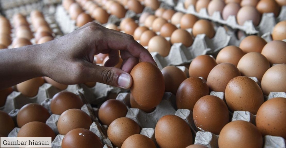 tips telur tahan lama