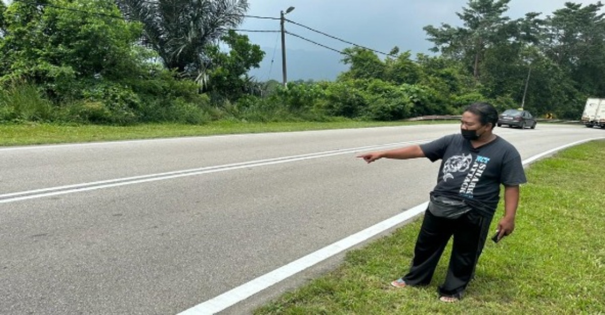 harimau lintas jalan rembau