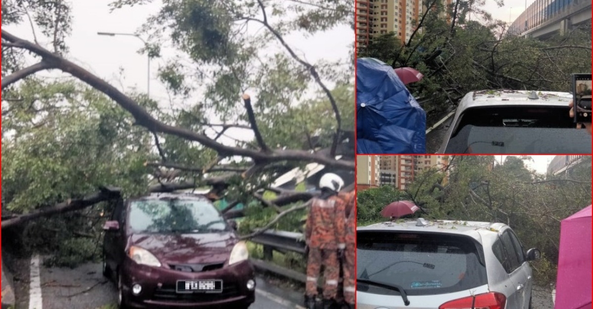 Enam Individu Nyaris Maut Kereta Dihempap Pokok Tumbang