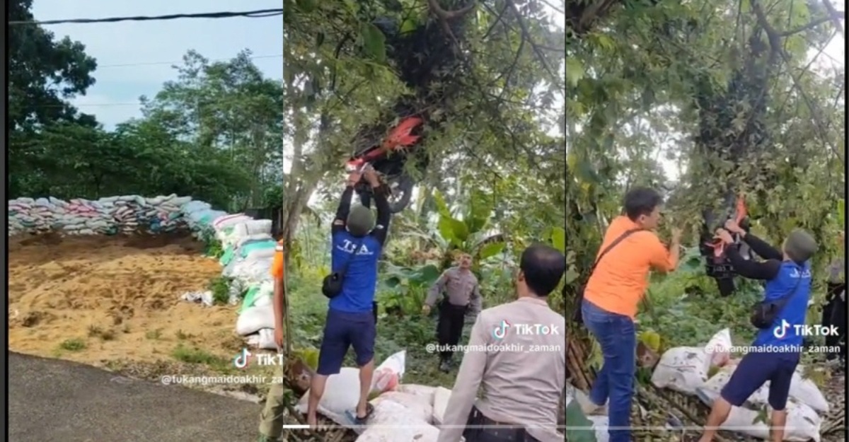 motosikal terbang atas pokok