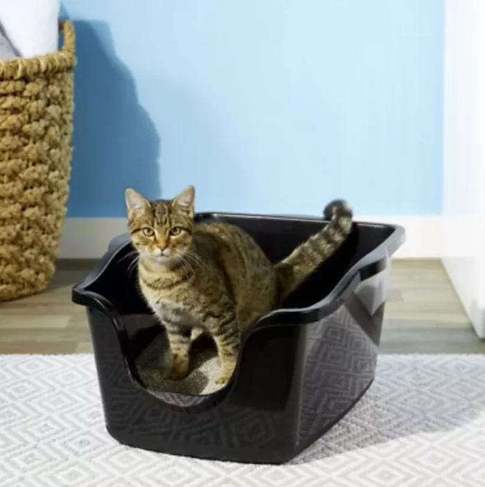 litter box kucing