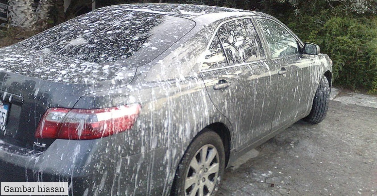 najis burung kereta